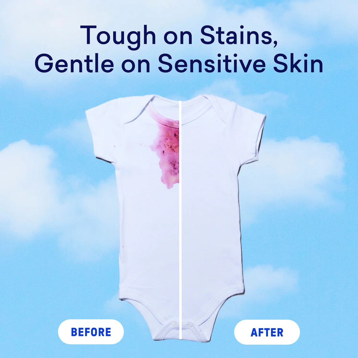 Dish Essentials Kit