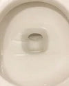 Toilet Bowl Cleaner Starter Set