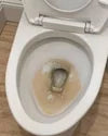 Toilet Bowl Cleaner Starter Set