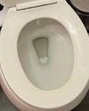 1 Year of Toilet Bowl Cleaner